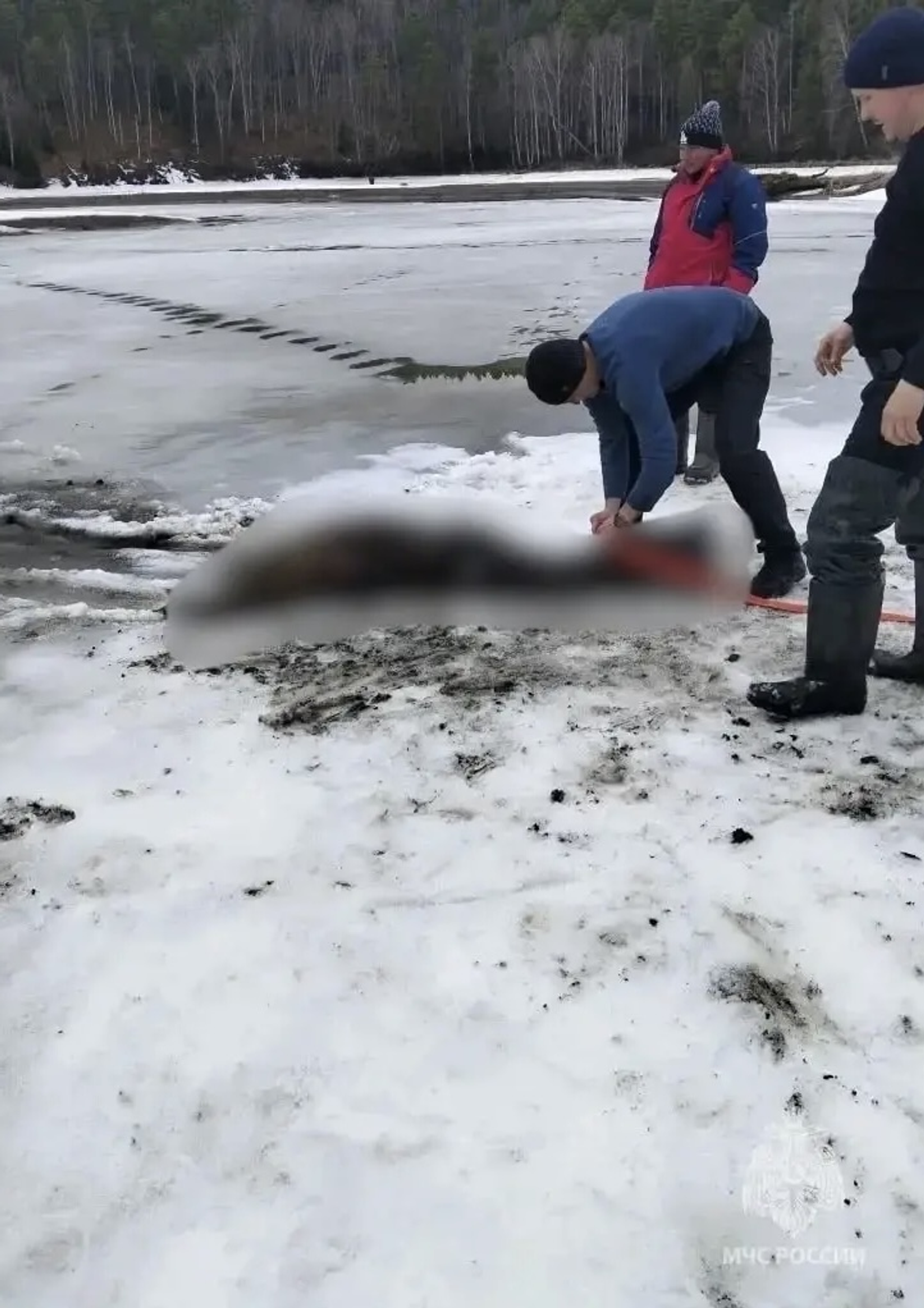 В Башкирии обнаружили труп в пруду