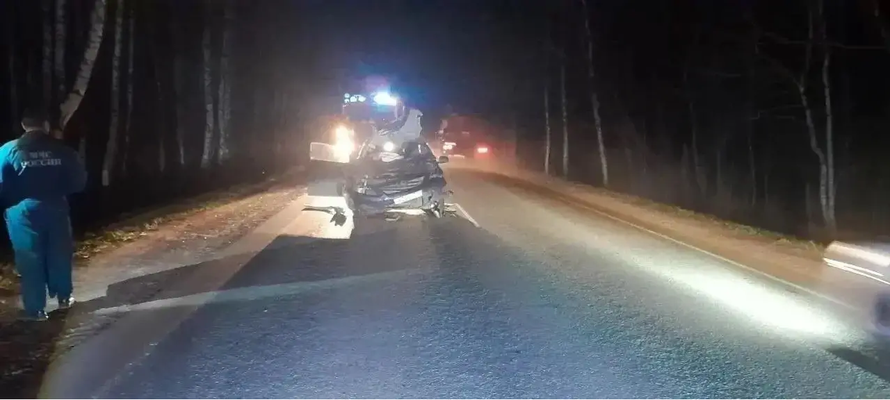 В Башкирии из- за дикого животного погибла женщина