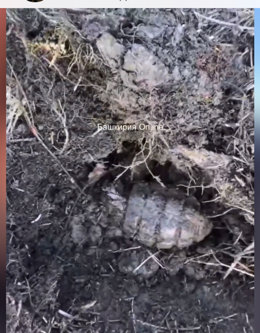 В Башкирии фермер нашел гранату на своем участке