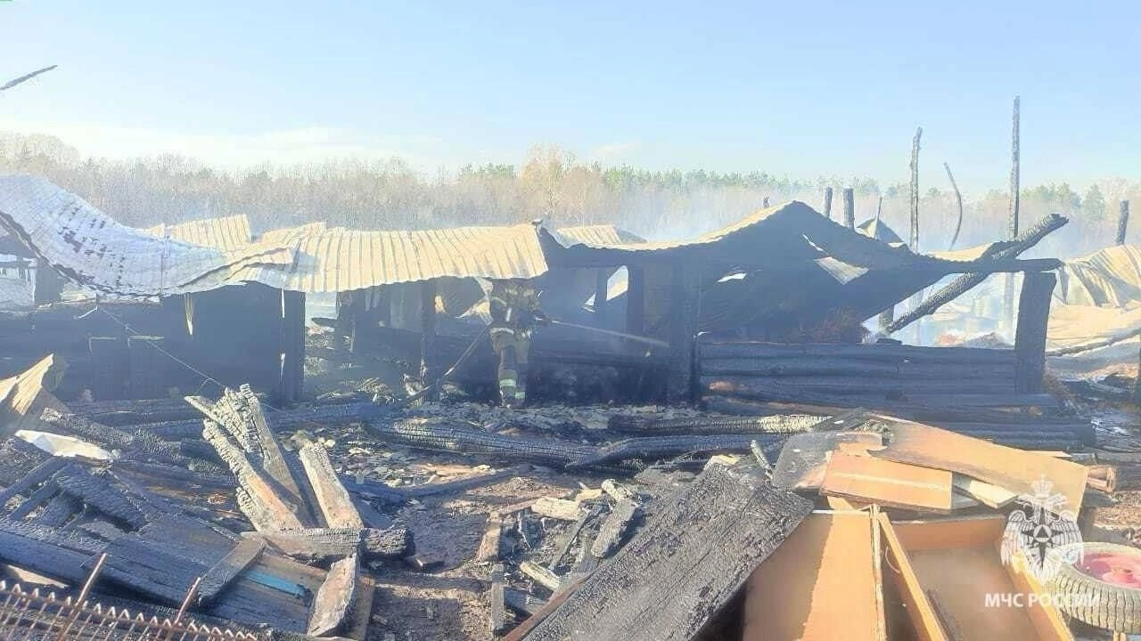 В Башкирии заживо сгорели животные