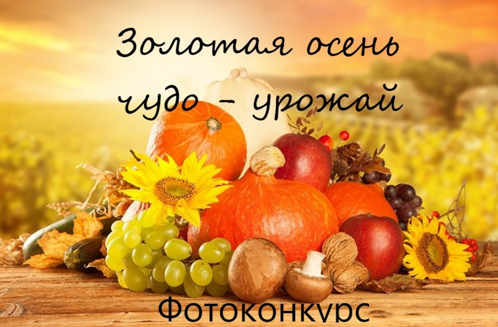 Объявляем фотоконкурс "Золотая осень: чудо-урожай" для жителей Кигинского района