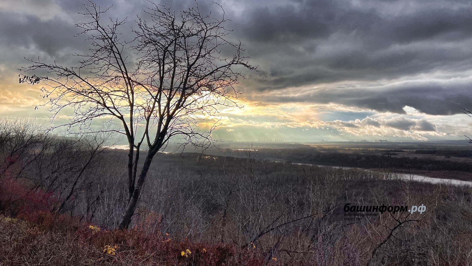 МЧС Башкирии предупредило граждан о гололедице и сильном ветре