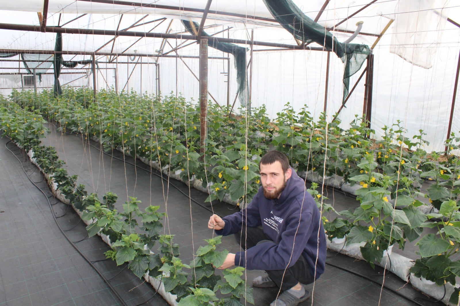 Вкладывают душу в своё дело