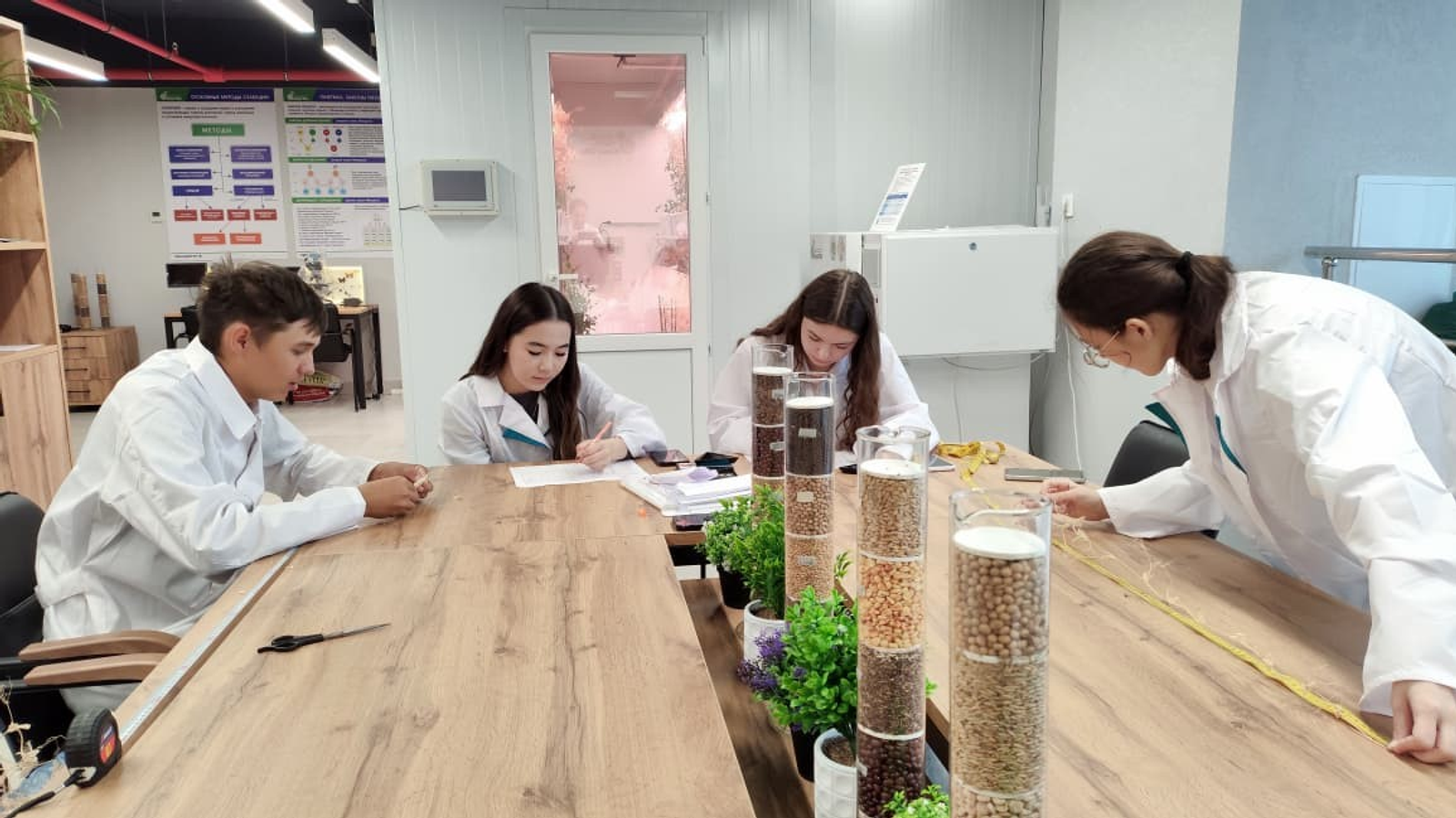 В Уфе завершен успешный эксперимент по гибридизации гороха