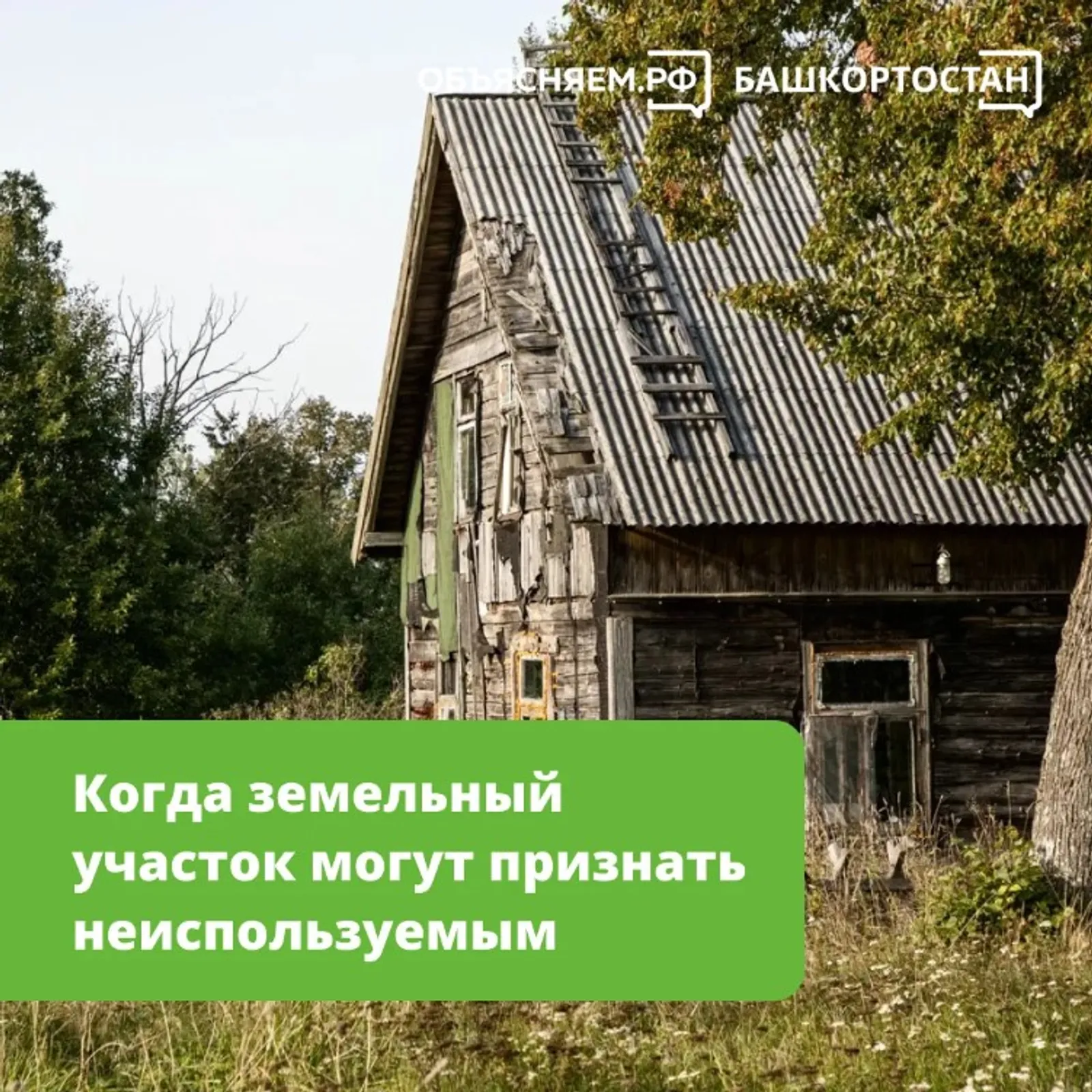 Когда земельный участок могут признать неиспользуемым