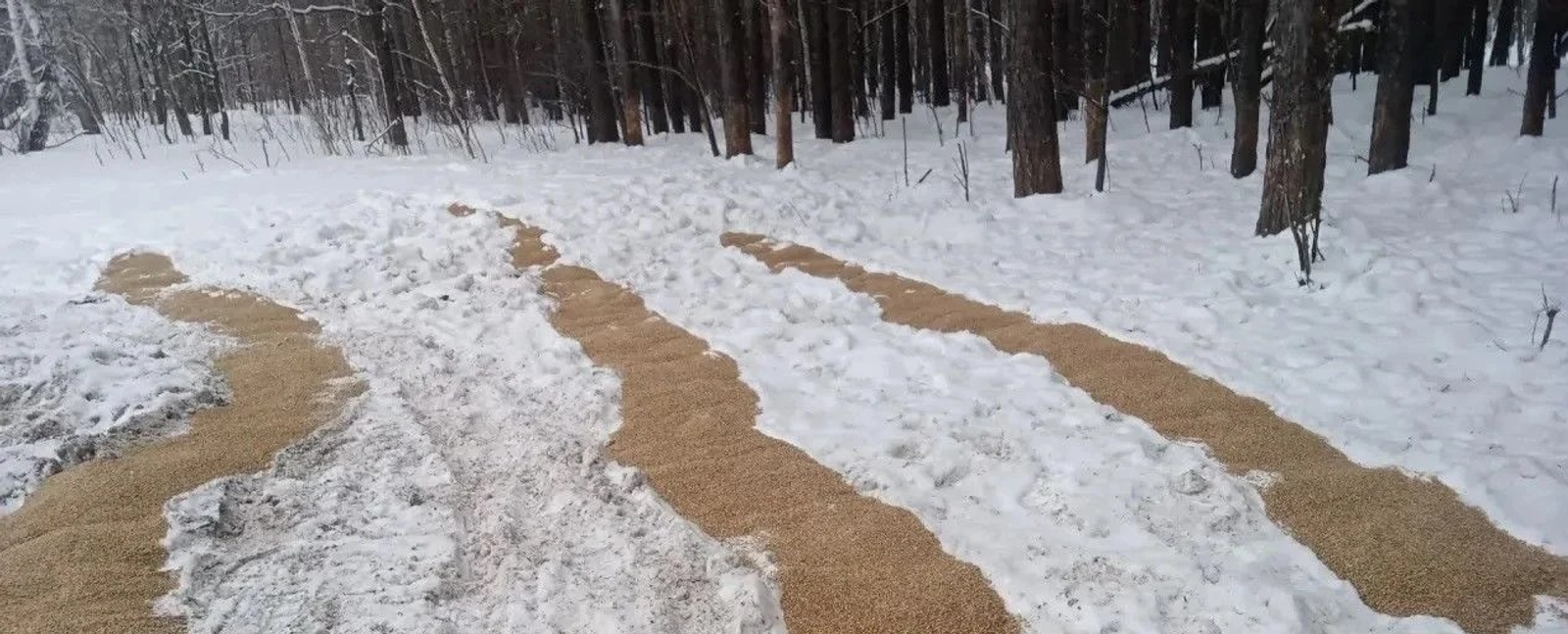 В природном парке «Аслы-Куль» организовали подкормочные площадки