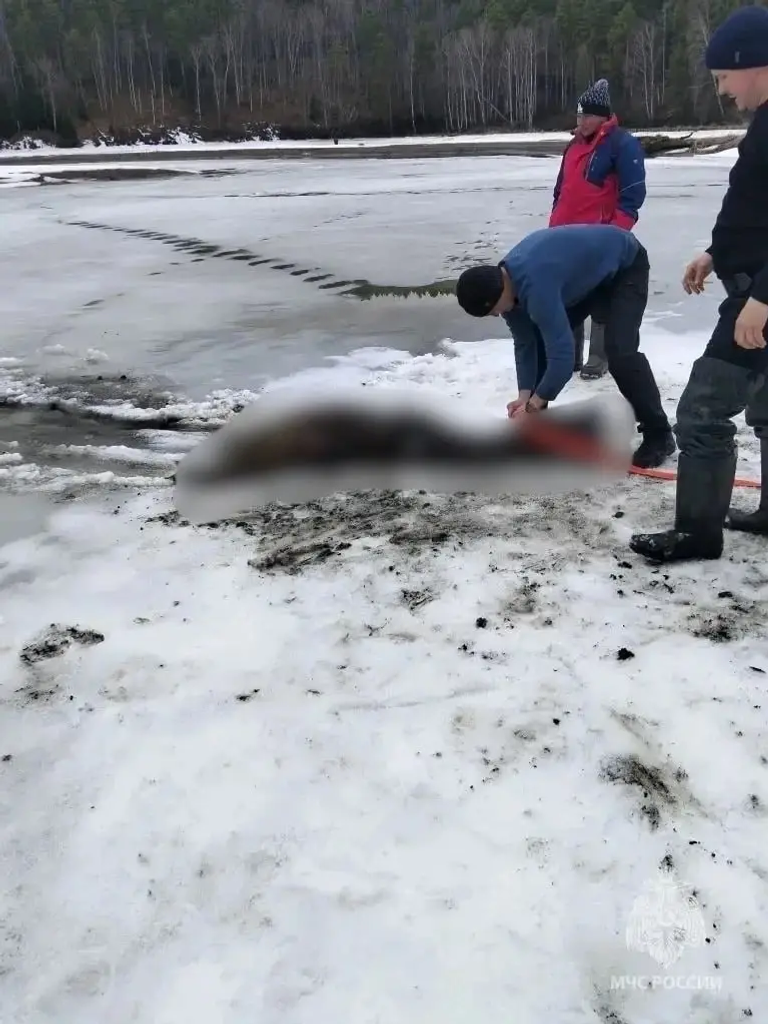 В Башкирии обнаружили труп в пруду