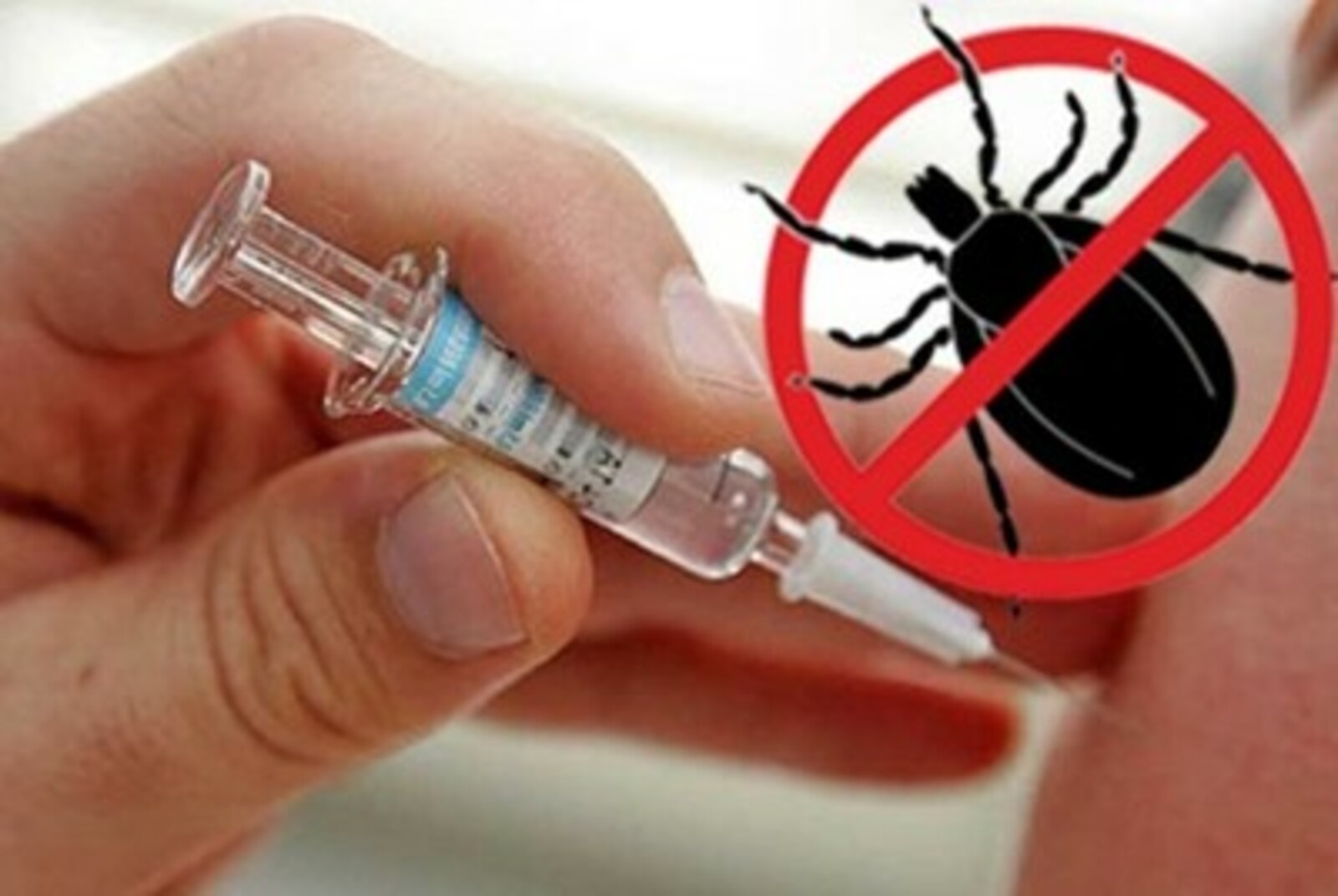 Осень - лучшее время вакцинации от клещевого вирусного энцефалита