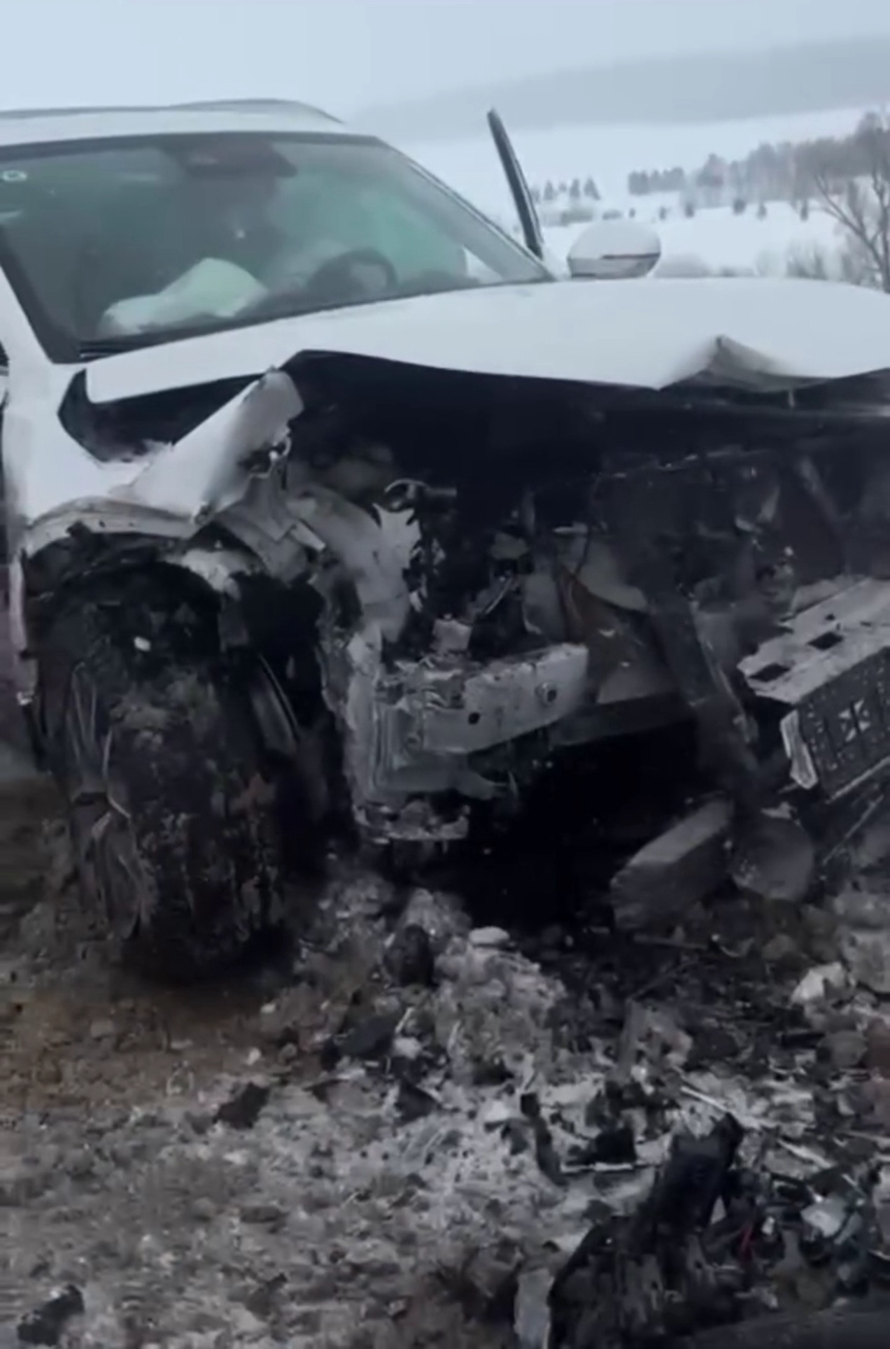 В Башкирии группа известной певицы попала в ДТП