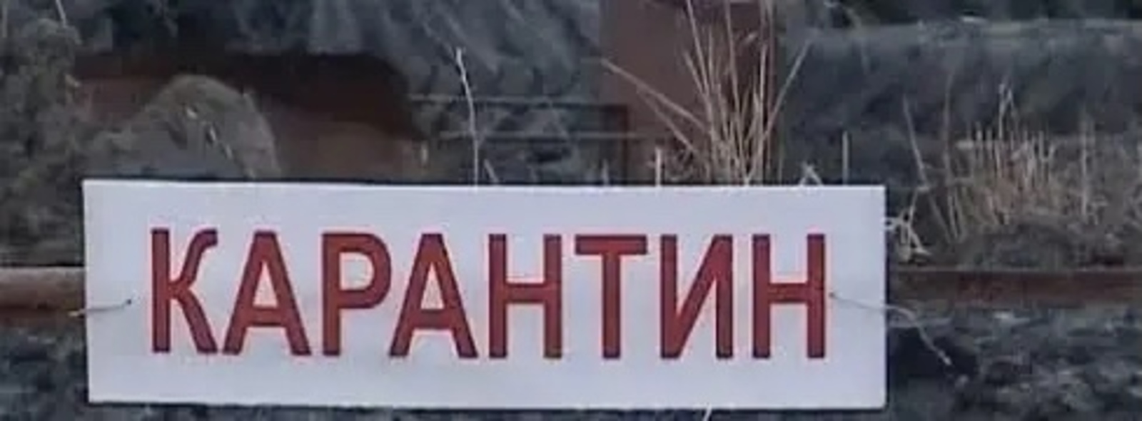 В деревне Кигинского района введен карантин